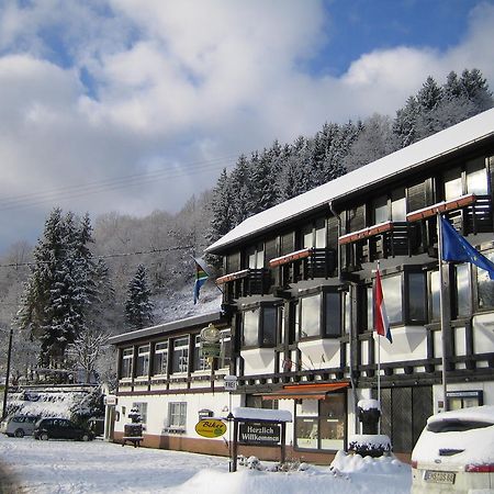 Landhotel Weinhaus Treis Weinähr Екстериор снимка