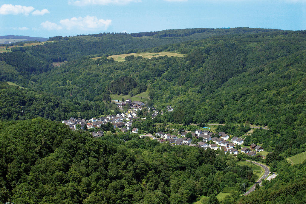 Landhotel Weinhaus Treis Weinähr Екстериор снимка