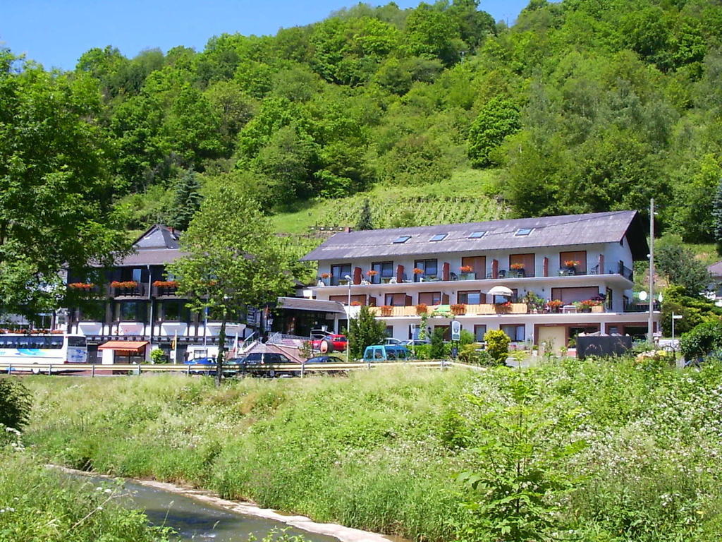 Landhotel Weinhaus Treis Weinähr Екстериор снимка